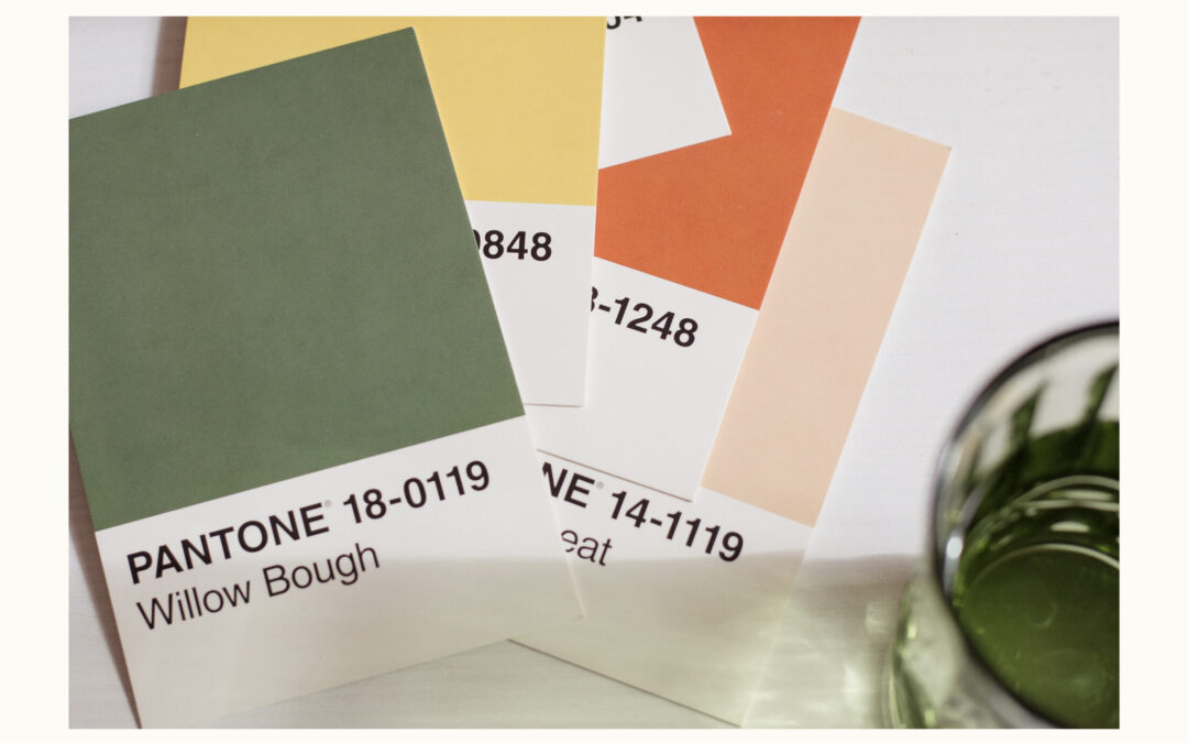 Studio Tips How do I Create a Balanced Colour Palette